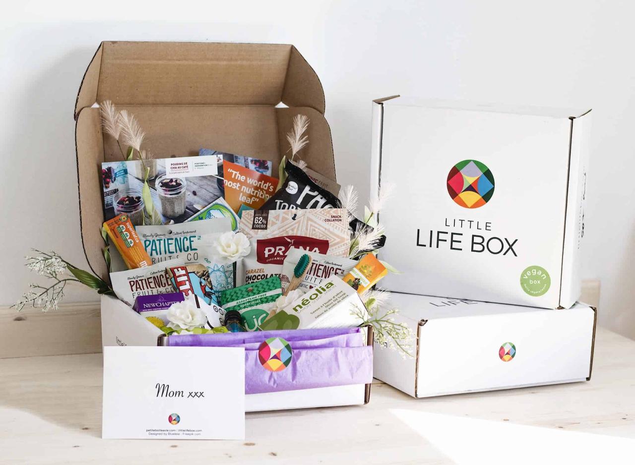 12 Best Women's Lifestyle Subscription Boxes - Urban Tastebud The Rise of Subscription Based Lifestyle Boxes