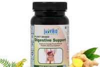 Best Supplements For Digestive Health Unleash Wellness Best Supplements For Digestive Health Unleash Wellness