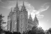 What Young Adults Want in Insurance Products