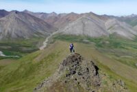 Top Lifestyle Products That Boost Productivity